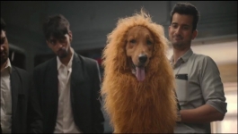 Maamla Legal Hai - Season 01 Episode 03